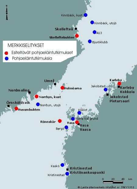 POHJAELIÖSTÖ - Merenkurkku